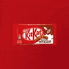 kitkat GIF
