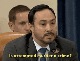 news impeachment impeachment inquiry testimony george kent GIF