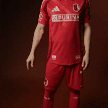 Stlcitysc GIF by St. Louis CITY SC