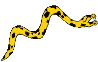 Yellow Snake Sticker