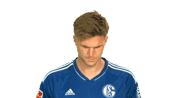 Schalke S04 Sticker by Bundesliga