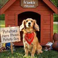 GIF by Rocket Mortgage