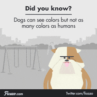 dog GIF by Ficazo