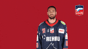 Hockey Thumbs Down GIF by Selber Wölfe