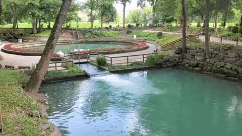 gsriley1 giphygifmaker GIF