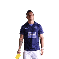 Football Club Wolfsburg Sticker by Chattanooga FC