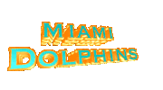 Miami Dolphins Football Sticker by GIPHY Text