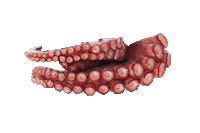 Sandwich Mariscos Sticker by Papas Sabritas