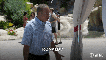 showtime lol wtf showtime haha GIF