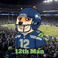 Tampa Bay Buccaneers Football GIF by Doge Pound