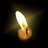 adlalita sticker rainbow flower black GIF