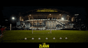Manchester United Zlatan GIF by Signature Entertainment