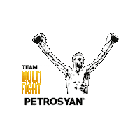 TeamPetrosyan kick kickboxing petrosyan giorgiopetrosyan Sticker