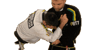 Diego Gamonal Sticker by Brazilian Top Team