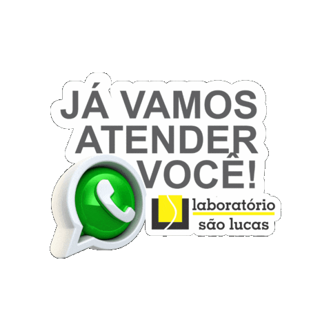 laborsaolucas giphygifmaker labor sao lucas labory Sticker