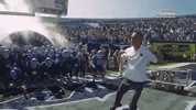 memphis gotigersgo GIF