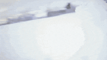 excited craig mcmorris GIF by X Games 