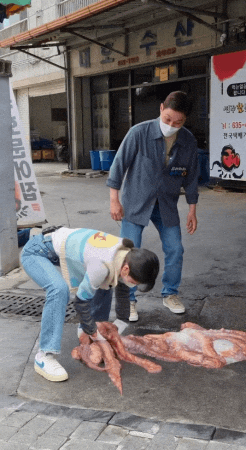 Octopus GIF