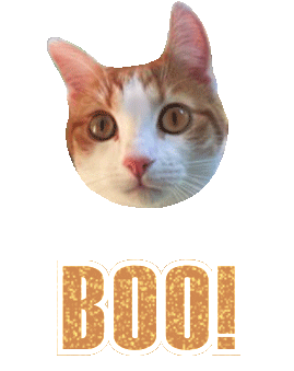 Cat Boo Sticker