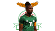 Football Sport Sticker by LTAAgencyItaly