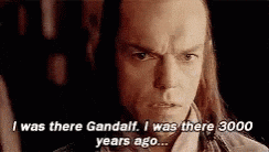Lord Of The Rings A Long Time GIF