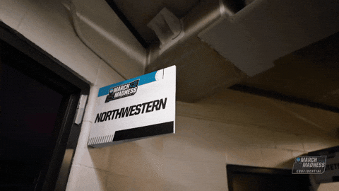 March Madness Cats GIF by Northwestern Athletics