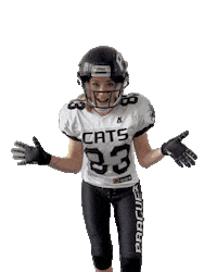 PragueBlackCats americanfootball pbc pbp tacklefootball Sticker