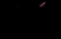 Festival College GIF