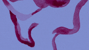 Animation 2D GIF by Danski