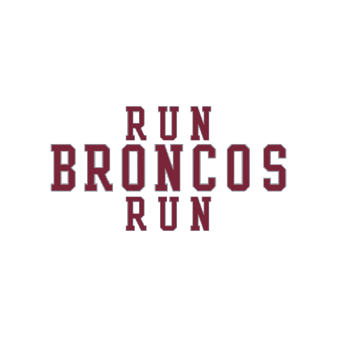 Go Broncos Sticker by Santa Clara Broncos