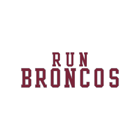 Go Broncos Sticker by Santa Clara Broncos