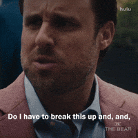 Argue Season 4 GIF by The Bear