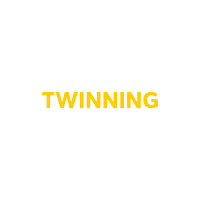 Fashion Twinning Sticker by tbwa\nl