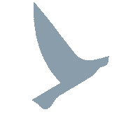 embarkbeyond embarkbeyond embarkimmersion embarkbeyondbrasil Sticker