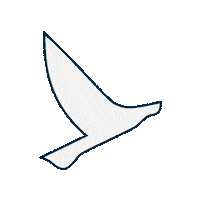 embarkbeyond embarkimmersion embarkbeyond embarkbeyondbrasil Sticker