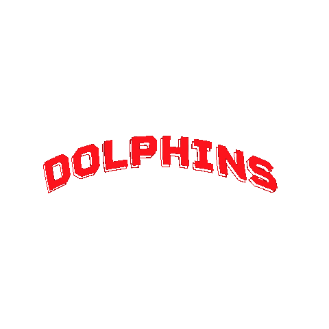 dolphinsnrl giphygifmaker Sticker
