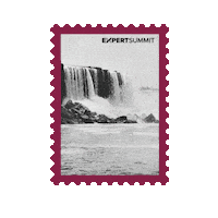 Niagarafalls Sticker by MedicalAestheticsLearningHub - Merz Aesthetics