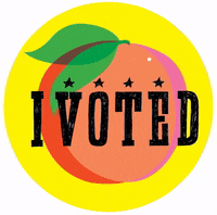 gabriellemertz election voting peach georgia GIF