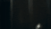 Halit GIF by Ay Yapım
