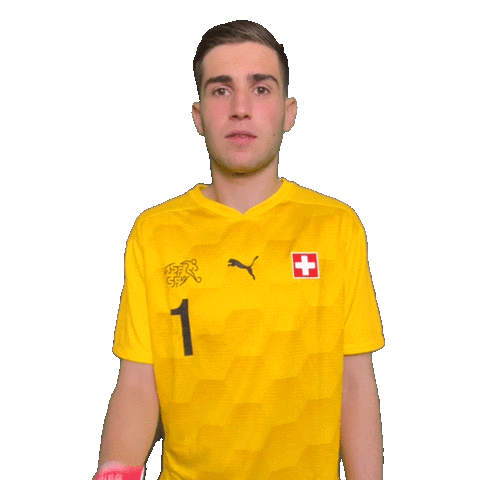 Switzerland Suisse Sticker by Swiss Football Association