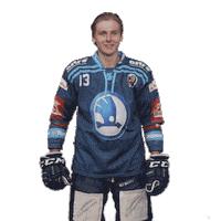 Hockey Thumbs Up Sticker by HC Škoda Plzeň