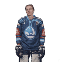 Hockey Facepalm Sticker by HC Škoda Plzeň