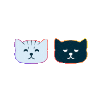 oscarandlibbys cats oscarandlibbys oscar and libbys Sticker