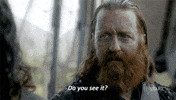 see season 4 GIF by Black Sails
