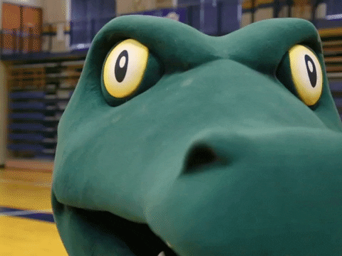 do it gator GIF by Allegheny College
