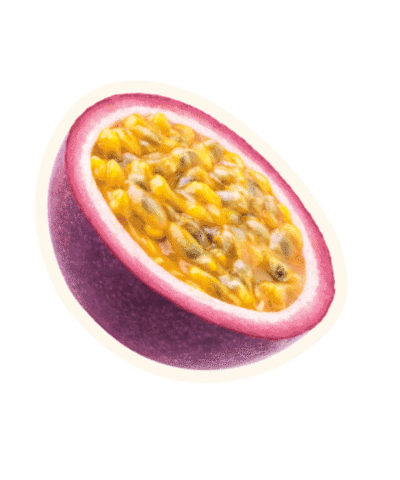 Fun Wtf Sticker by Sierra Tequila