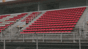 redbullracing 2019 f1 barcelona mv GIF