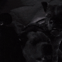 GIF by CineConcerts