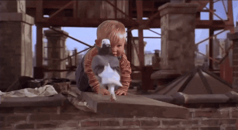 ceydakbay giphygifmaker GIF