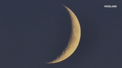 GIF by Dead Set on Life